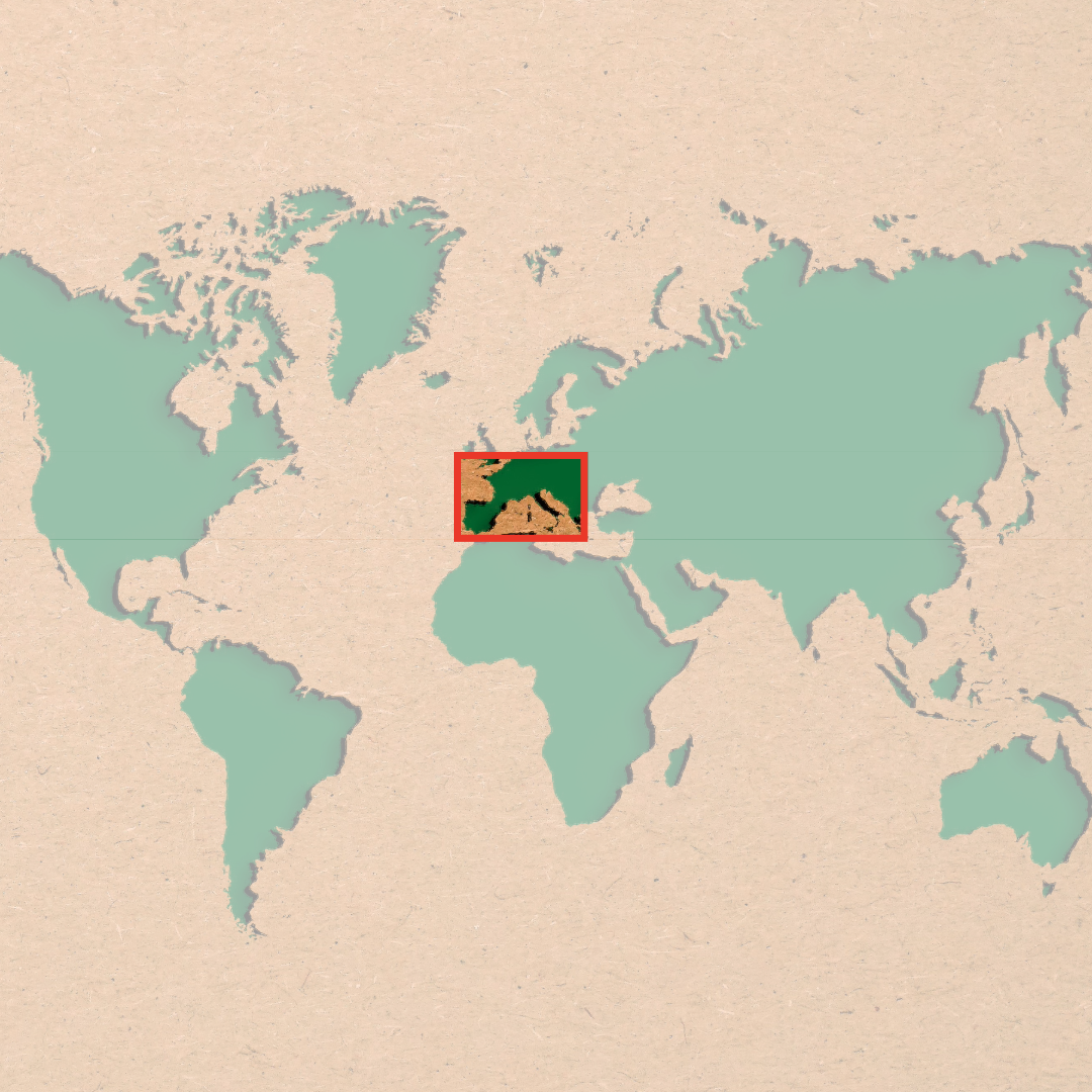 Old World vs New World - what's it all about?