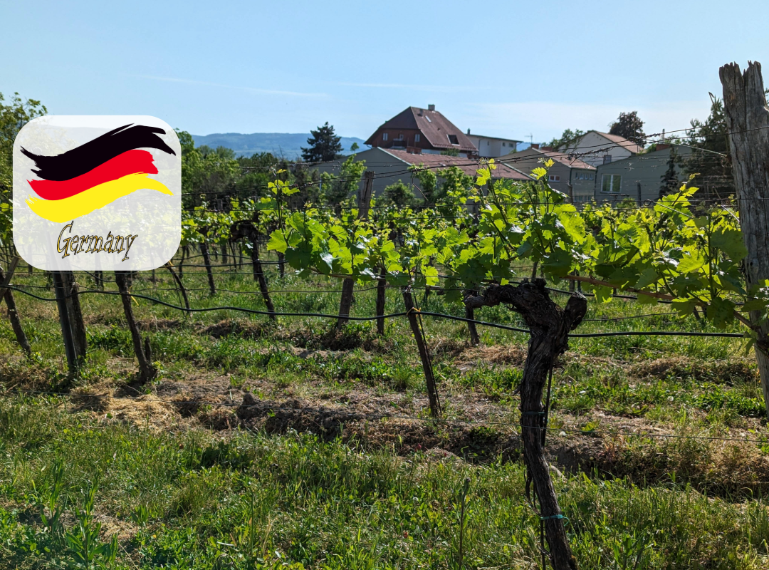 Getting Behind the Label - Germany